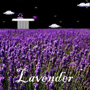 Lavender