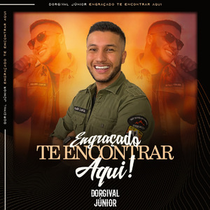 Engraçado Te Encontrar Aqui