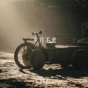 岁月不老