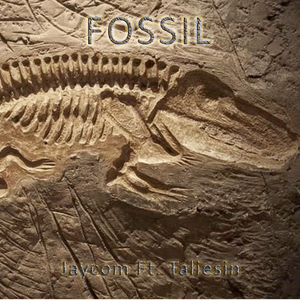 Fossil