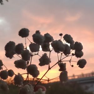 （FREE）”轨道飞虎“ 华云龙 type beat