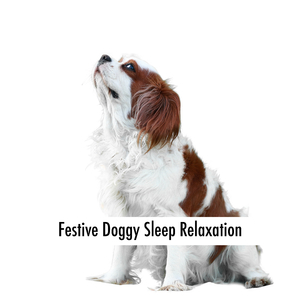 Dog Times For Wellbing