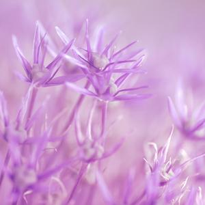 每个人心中都有自己的故事