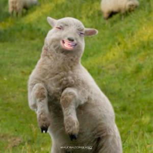 Dobre (feat. Infinit)