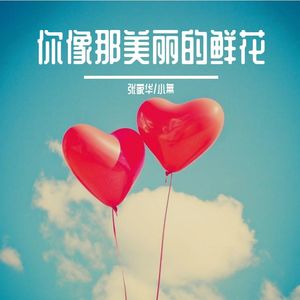 你像那美丽的鲜花