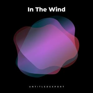 In The Wind