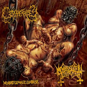 Arcane Rites of the Trans-Dimensional Progeny