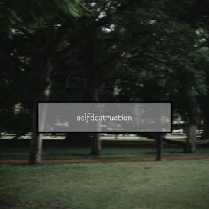 selfdestruction