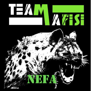 Team Mafisi