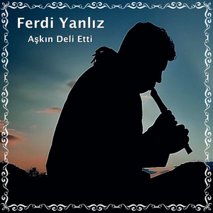 Aşkın Deli Etti