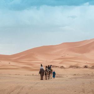 谍影迷城紧张追踪