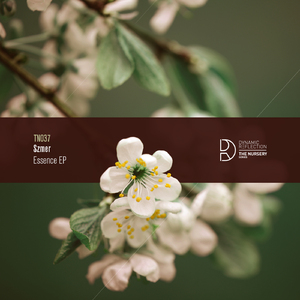 Apollo (Original Mix)