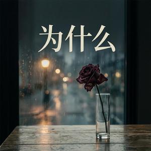 为什么