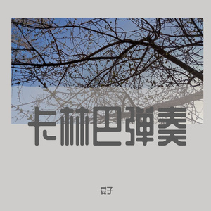 大鱼（卡林巴弹奏）