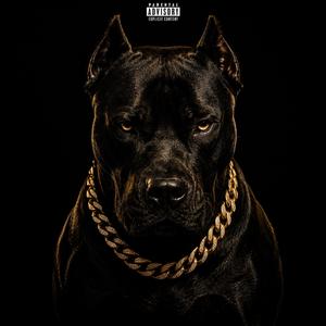 Big Dawg (feat. RozeGoldTre)