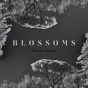 Blossoms