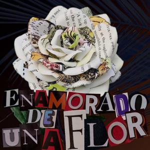 Enamorado de Una Flor