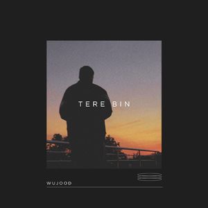 Tere Bin
