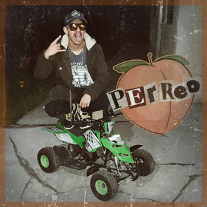 Perreo