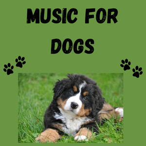 Music For Dogs