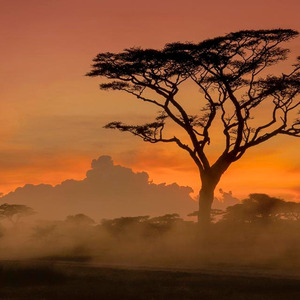 Love You Like a Love Song (Sped up)