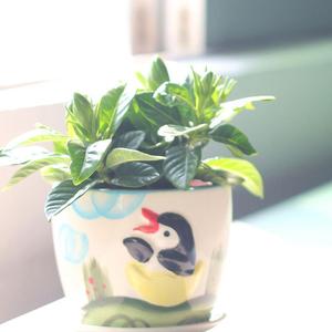 大雨落下的一瞬间