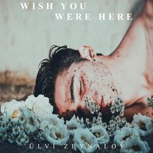 Wish You Were Here