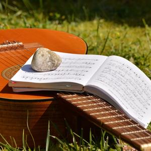 Don Vicente (feat. Sonus Vitae)