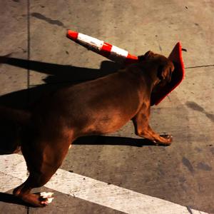 Time Without (feat. Lilith Is Gone)