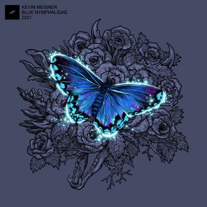 Blue Nymphalidae