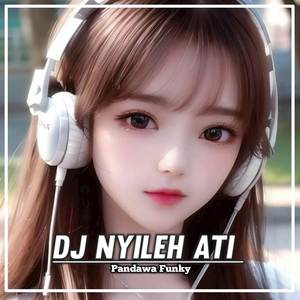 Dj Nyileh Ati