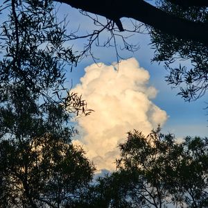 旧情人，我是时间的新欢