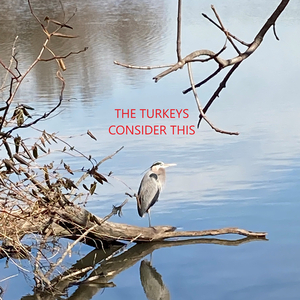 My Baby Loves Obama More Than She Loves Me