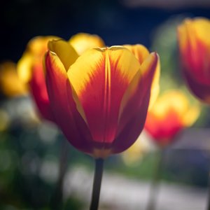 Le soleil à l'horizon