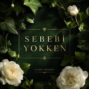 Sebebi Yokken
