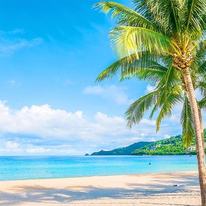 Tiradera Pa El Lapiz (Live Edition)