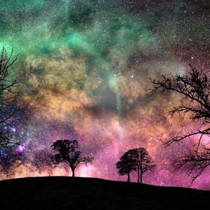 癒しのオルゴール