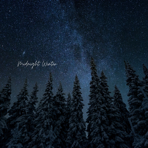 Midnight Winter
