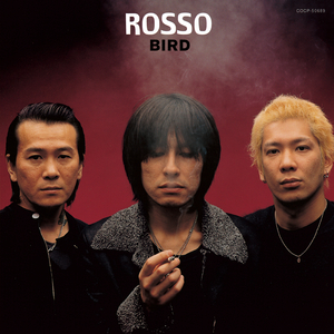 カリプソ・ベイビー