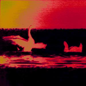 Golfpelaajan harjoituskenttänä oli lintulahti