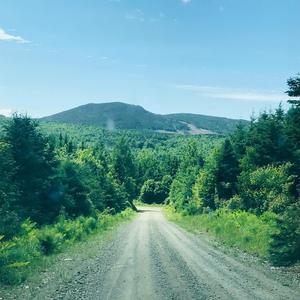 The Woods (Radio Edit)