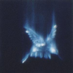 Apología (feat. Kevin Padilla)