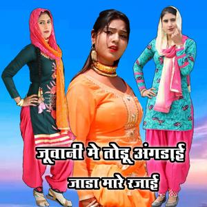 Jaada Mare Rajai (feat. Saddik Alwar)