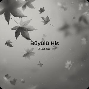 Büyülü His
