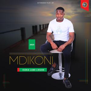 Ngiyesaba (feat. Emily imbongikazi) (Radio Edit)