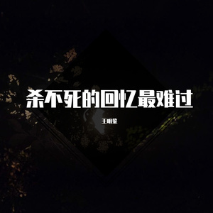 杀不死的回忆最难过