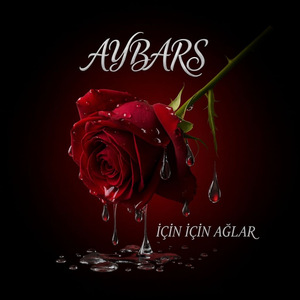 İçin İçin Ağlar