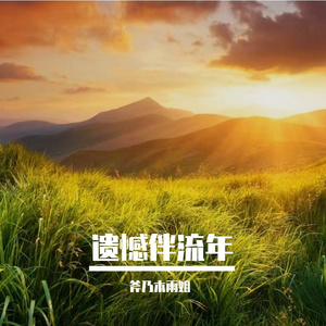 清夜伴韶华