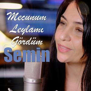 Mecnunum Leylamı Gördüm