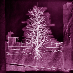 Structures of Acid (Heartburn 303 Mix)